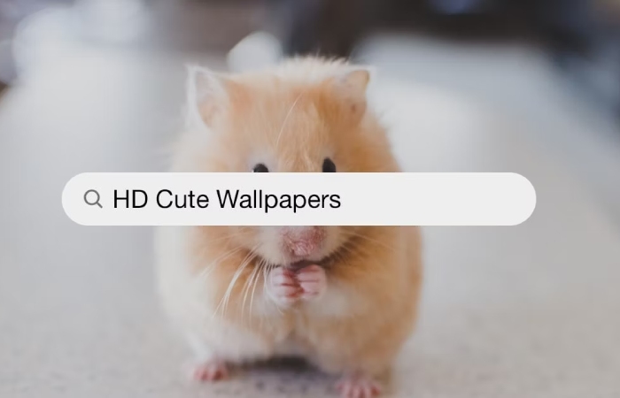 How to Download Cute__757rbppozw= Wallpaper